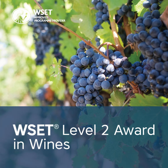 WSET Level 2 Wine - Online (April 2024)
