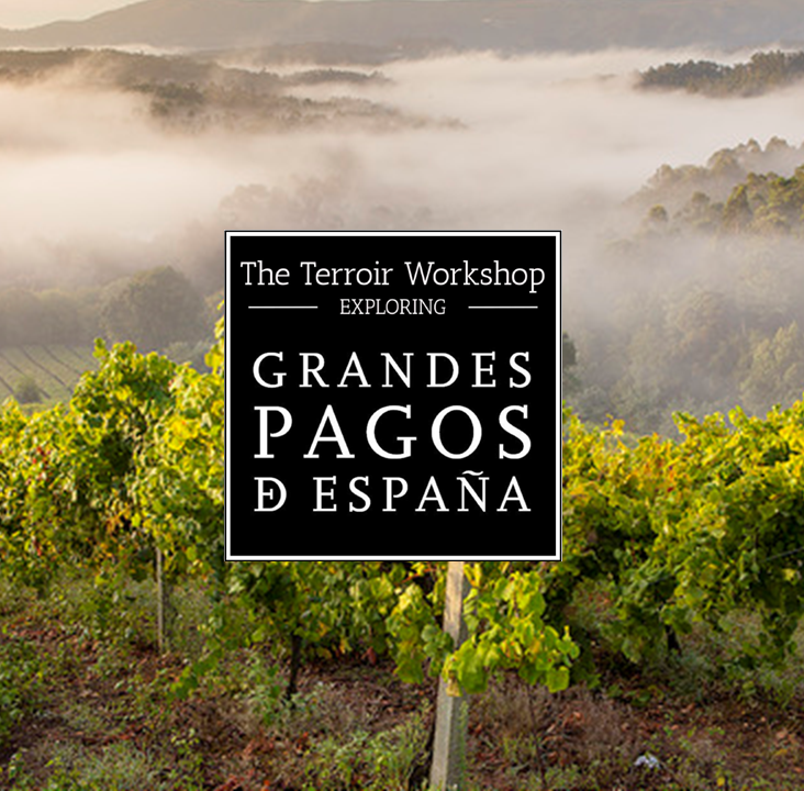 Grandes Pagos de España: May 2026